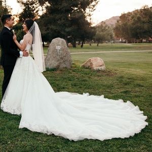 Wedding dress. It bustles all around, strapless long train